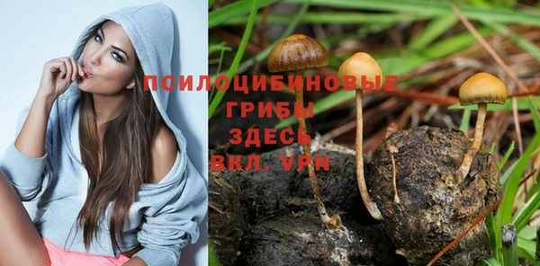 мяу мяу кристалл Алексин