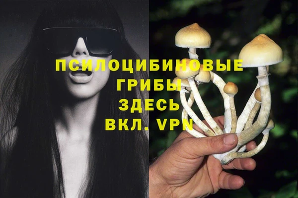 мяу мяу кристалл Алексин