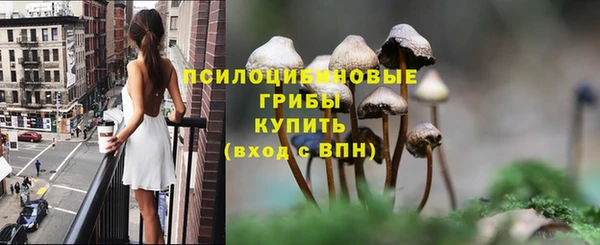 прущий лед Алексеевка