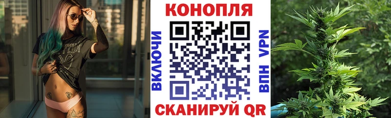 купить закладку Вышний Волочёк Каннабис ГИДРОПОН